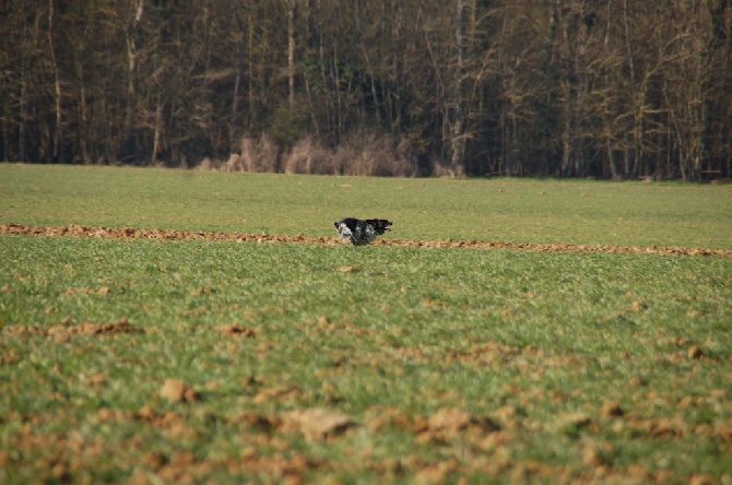 Des fossés de Javersy - Programme Printemps 2015