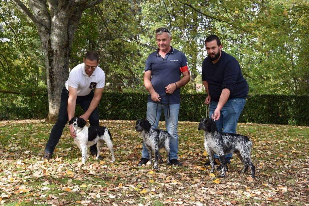 Des fossés de Javersy - OLYMPE, POWER et PHAZZ  deviennent RECOMMANDES !!!